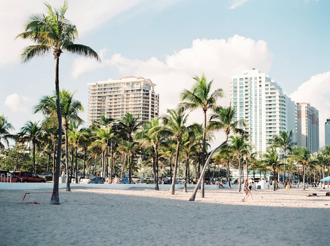 Best Time to Visit Miami for Beaches, Nightlife & Events 2