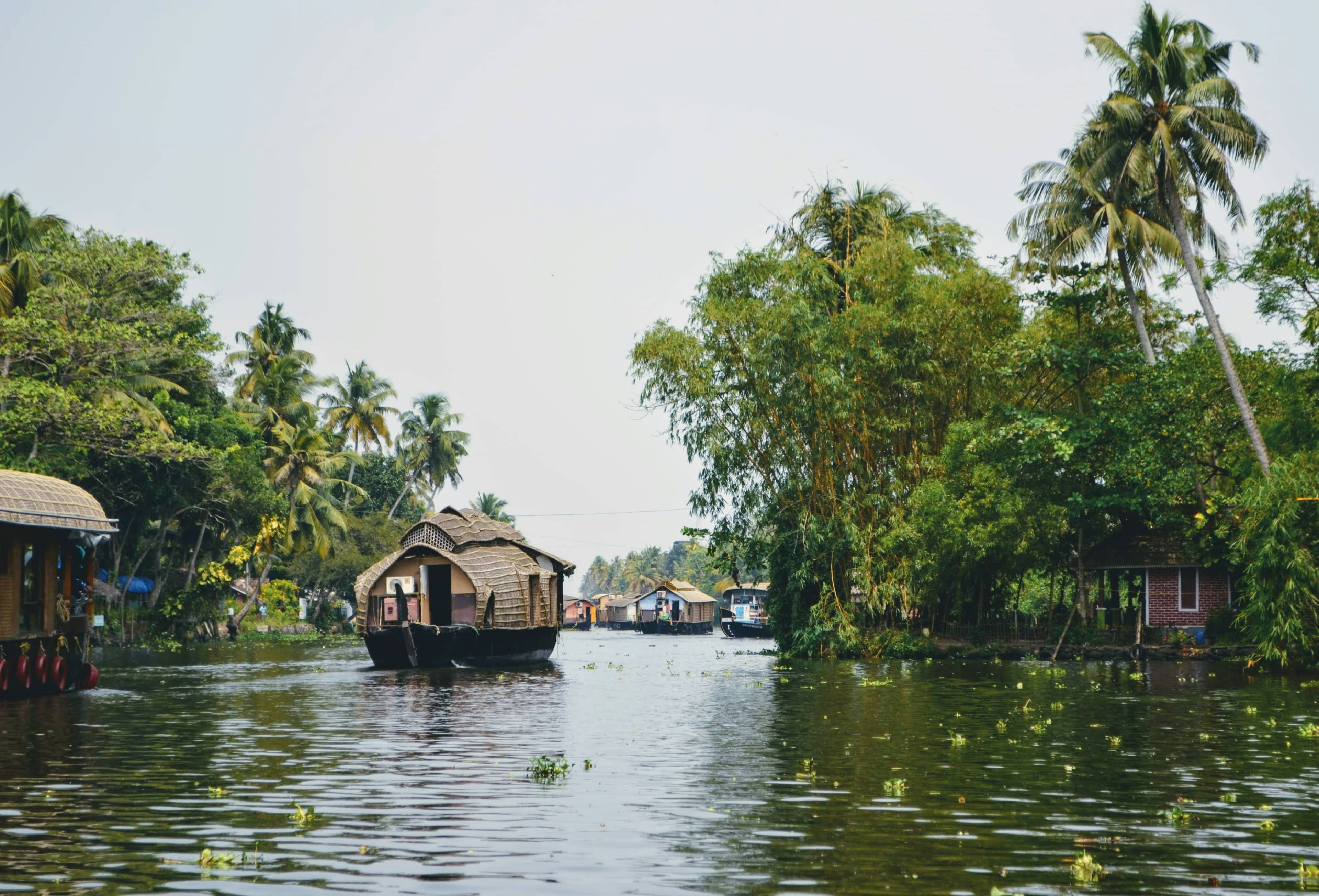 Alleppey 1