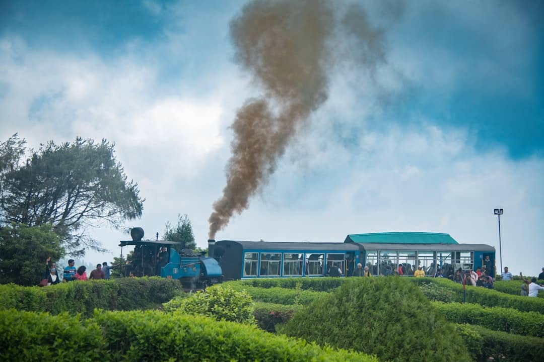 Darjeeling 3