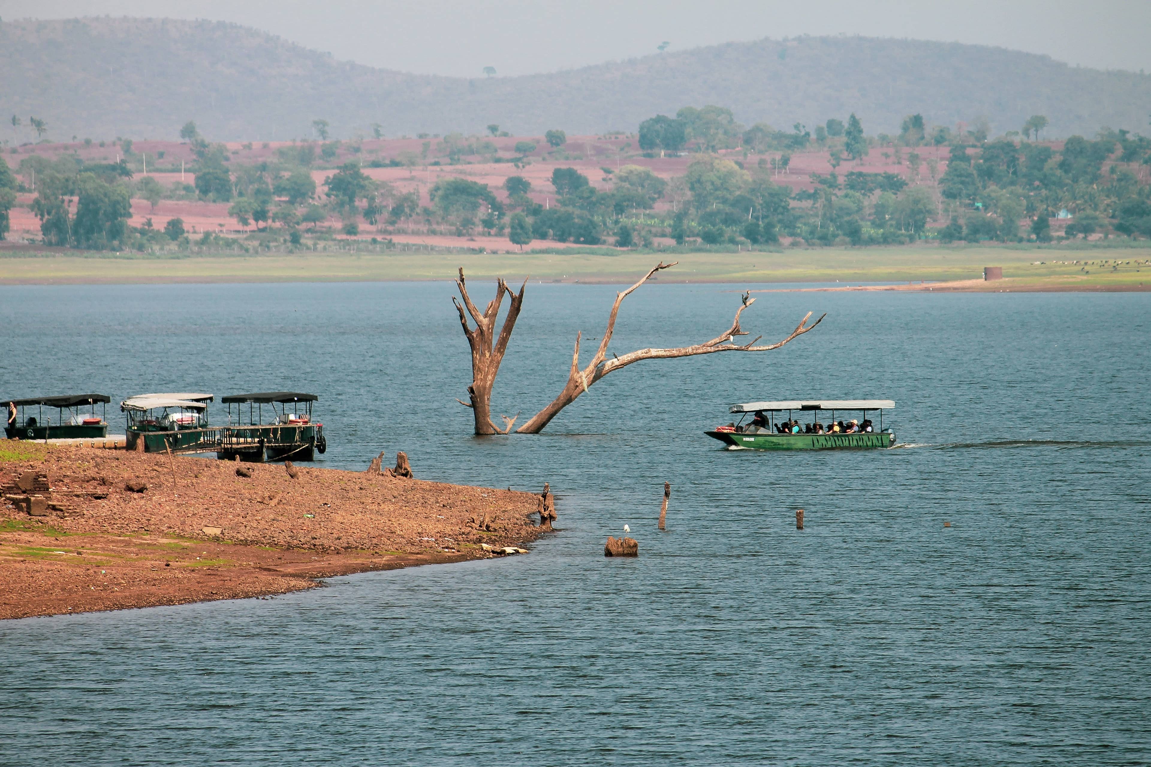 Kabini 2
