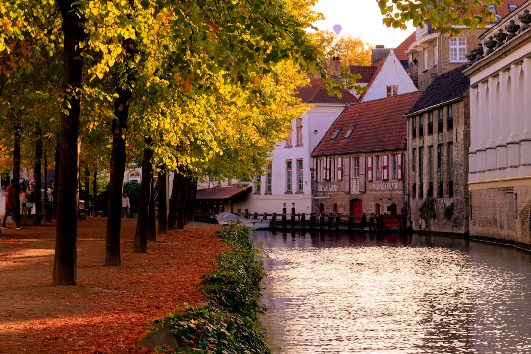 Bruges Travel Guide: Top Attractions & Things to Do photo 3