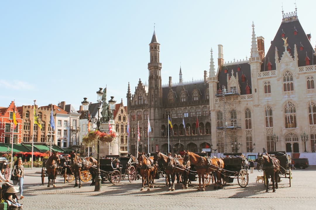 Bruges Travel Guide: Top Attractions & Things to Do photo 4