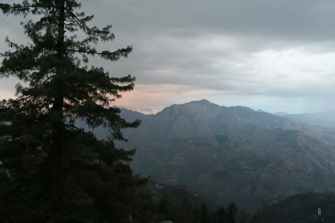 Mashobra Attractions for Families, Couples & Solo Travelers: What to See photo 2