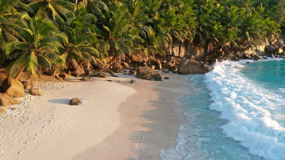 Seychelles Travel Guide: Best Time to Visit & Top Islands photo 2