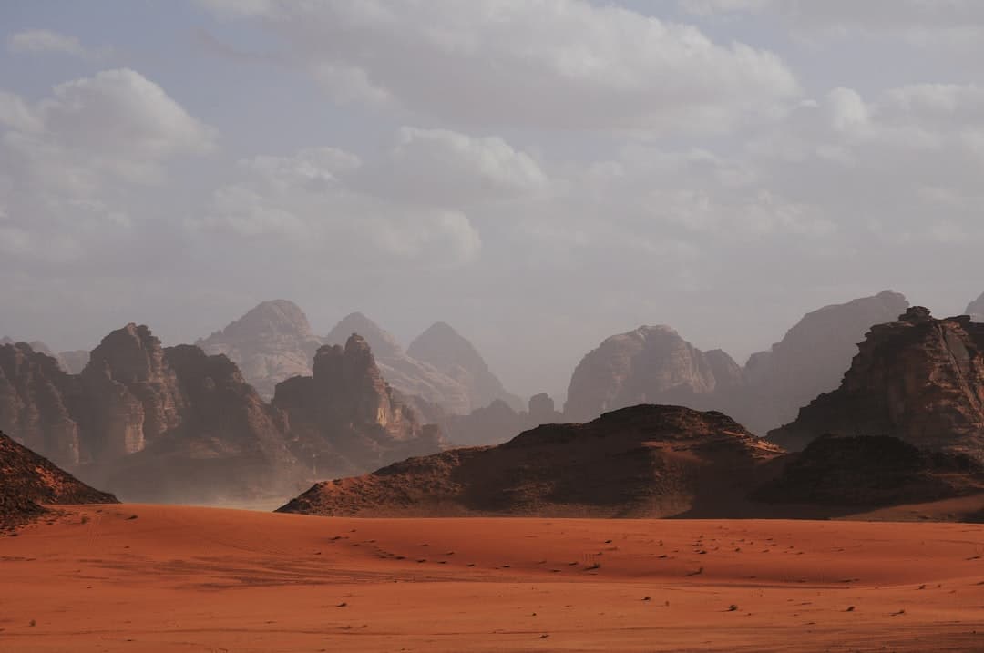 Wadi Rum Tours from Amman: Best Petra & Wadi Rum Itineraries for 2026 photo 3