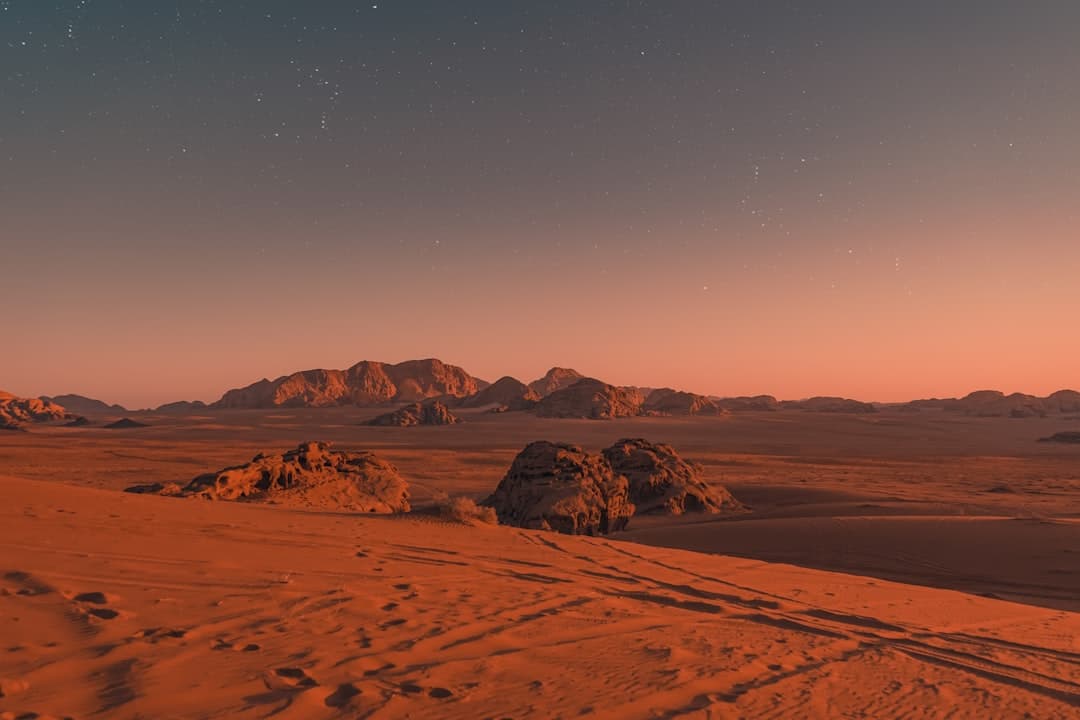 Wadi Rum Tours from Amman: Best Petra & Wadi Rum Itineraries for 2026 photo 4