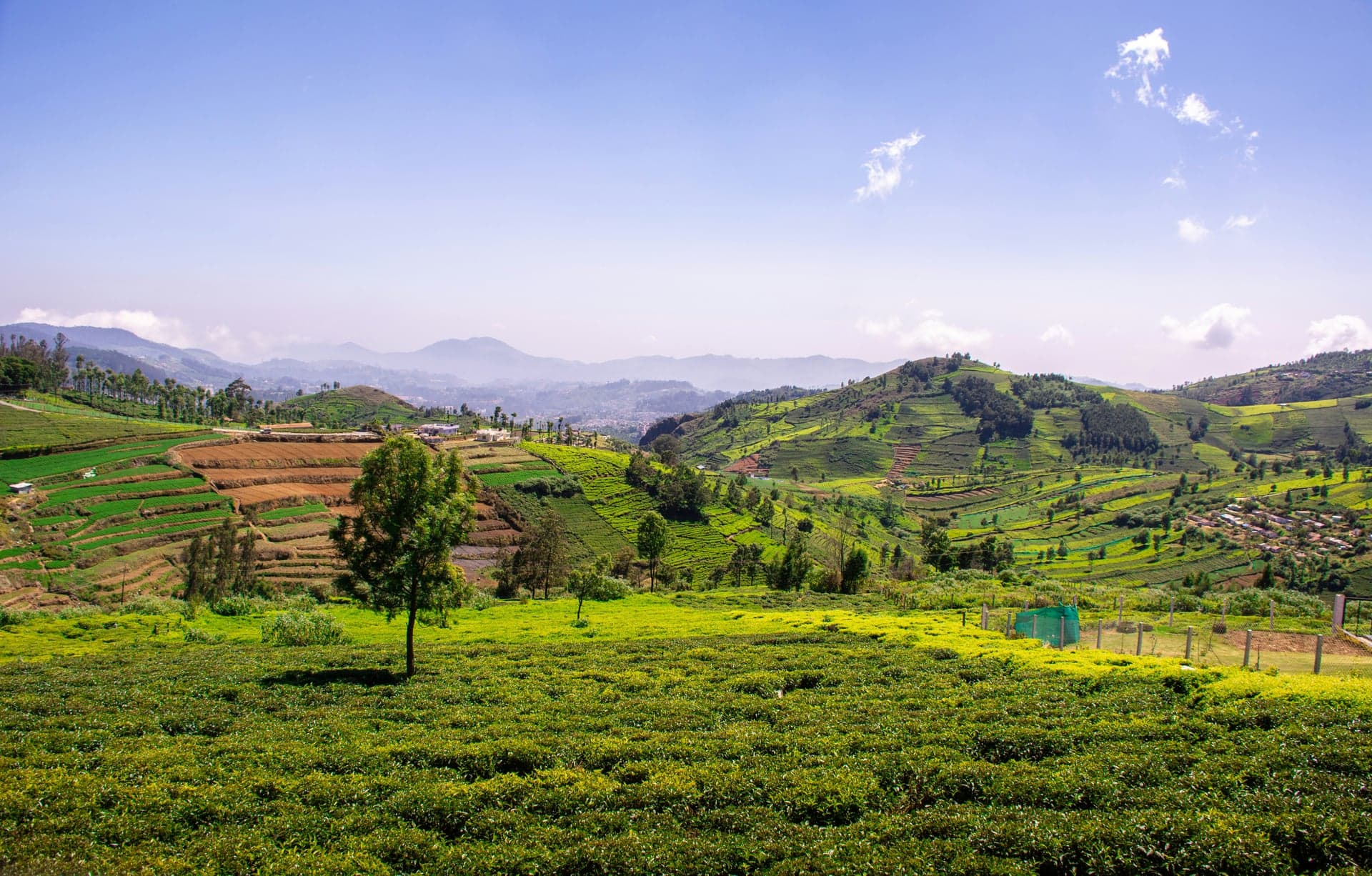 Coonoor, Nilgiri Hills