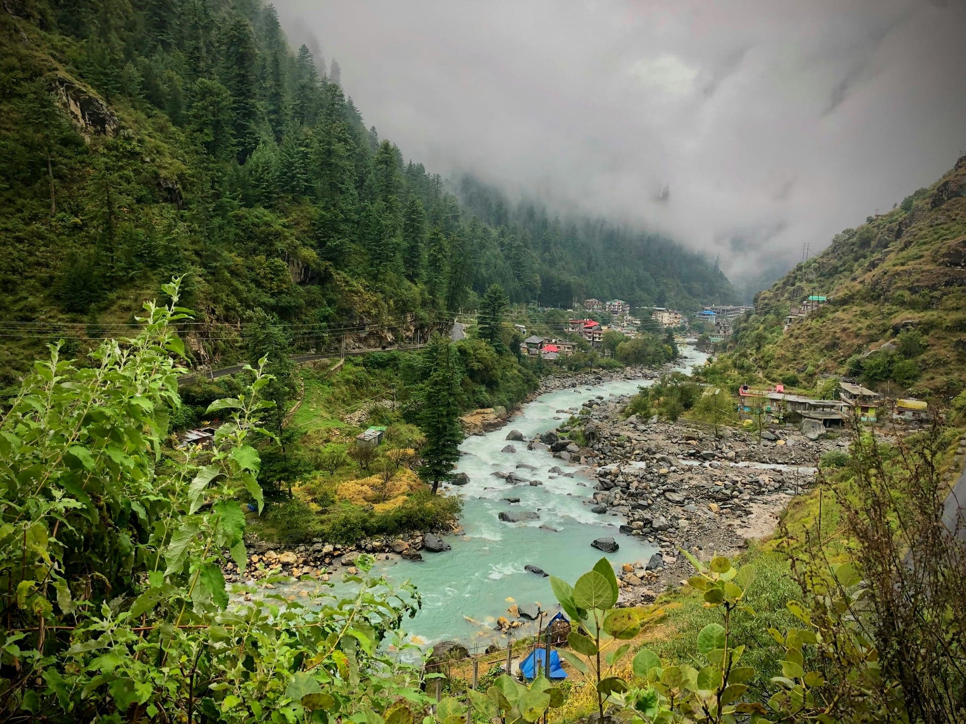 Kasauli