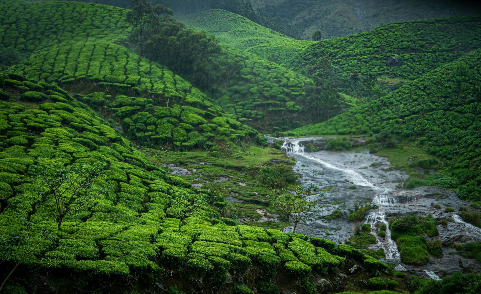 Munnar: The Kashmir of South India