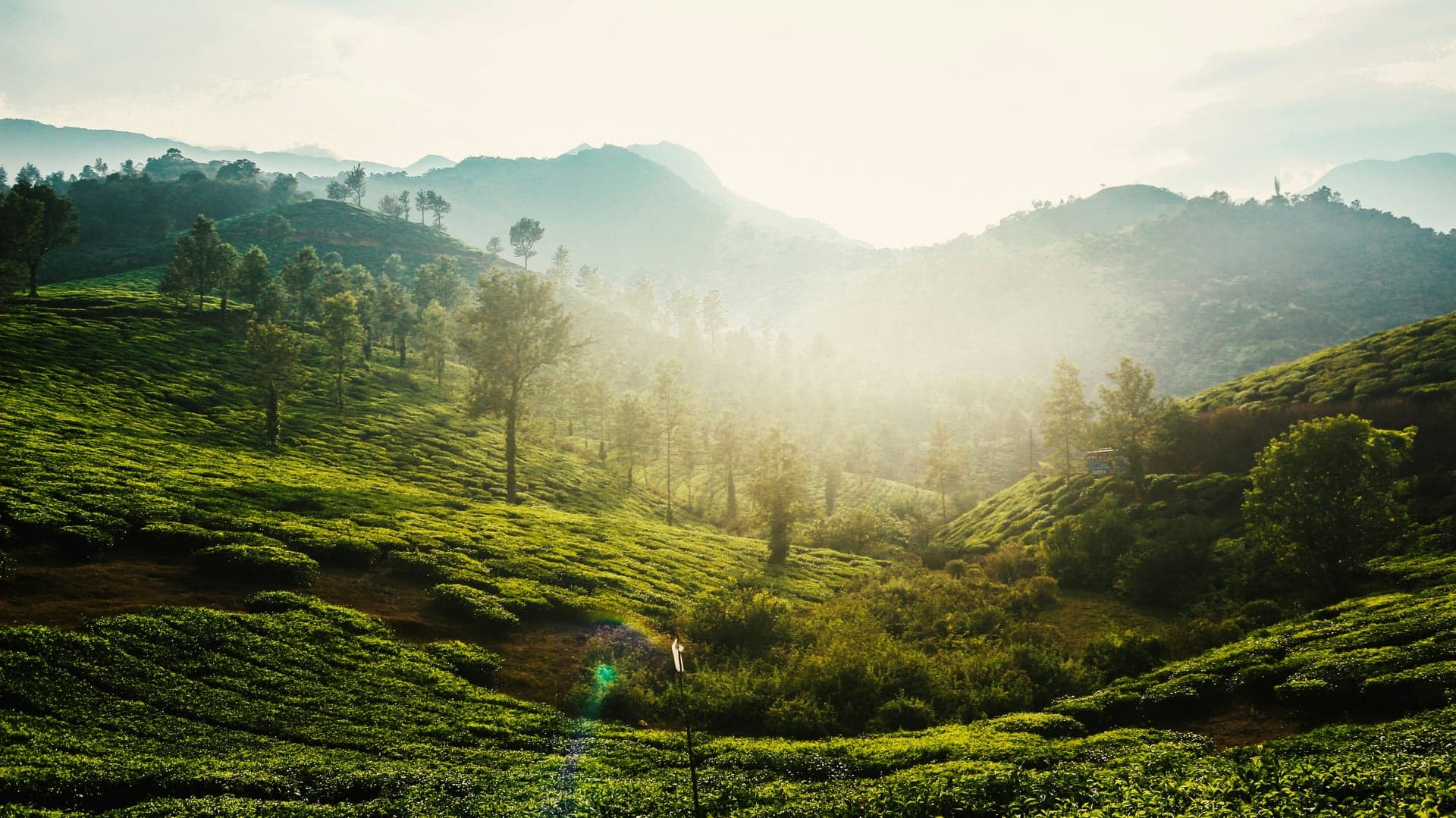 Wayanad: The Green Paradise of Kerala
