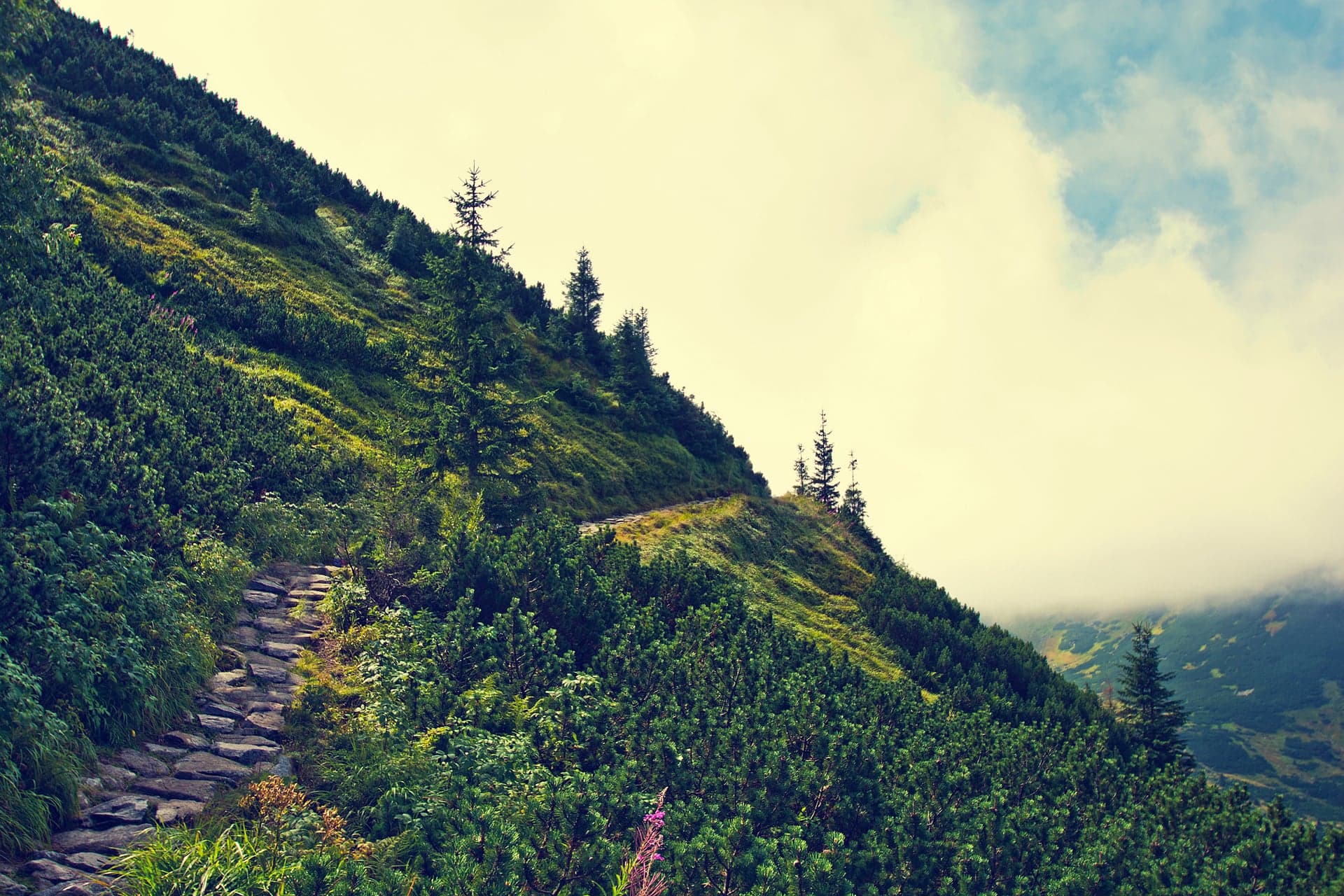 Hill Stations