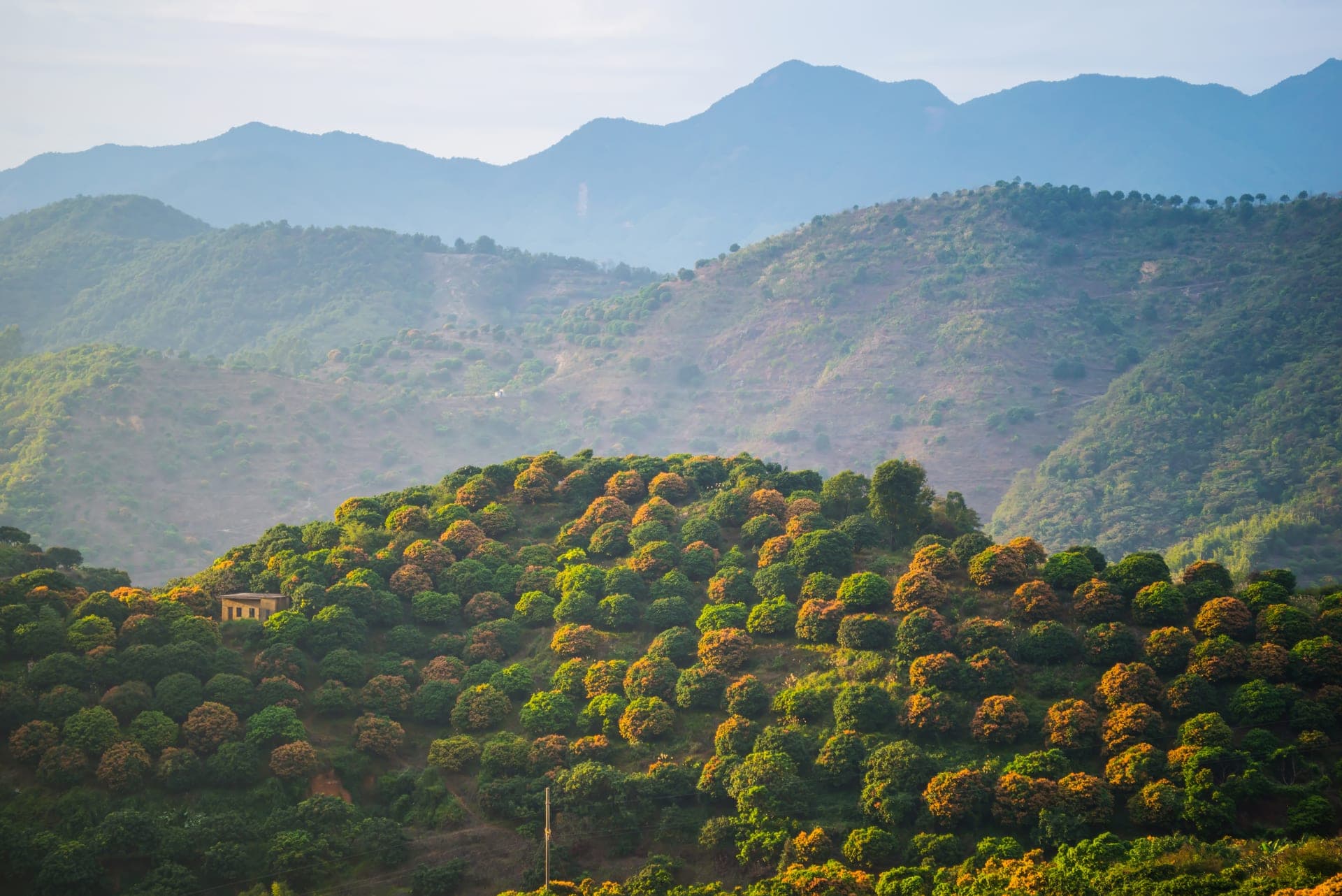 Ananthagiri Hills