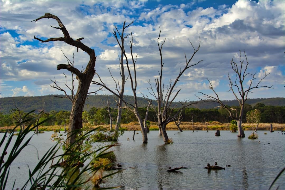 Best Albury Attractions for a Relaxing Trip photo 2
