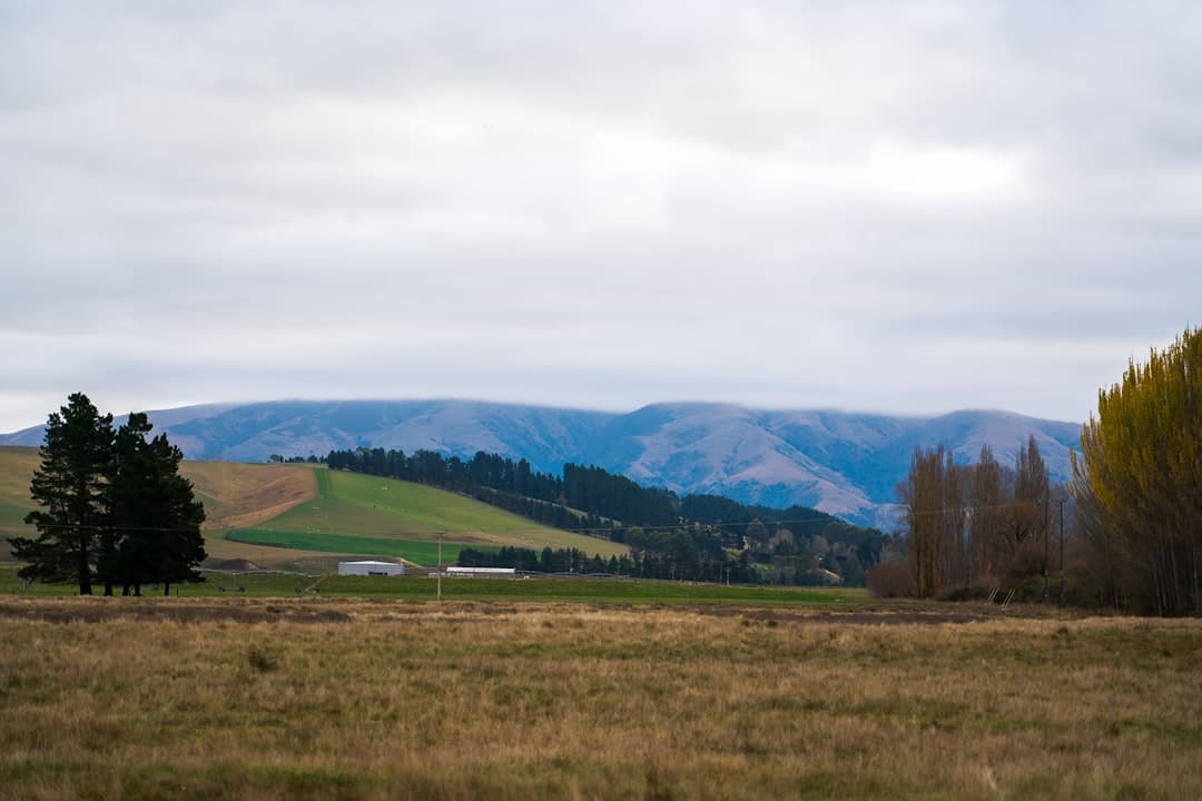 Best Albury Attractions for a Relaxing Trip