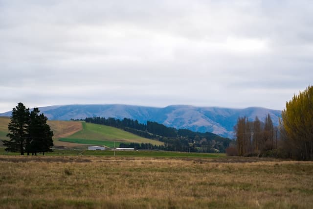 Best Albury Attractions for a Relaxing Trip