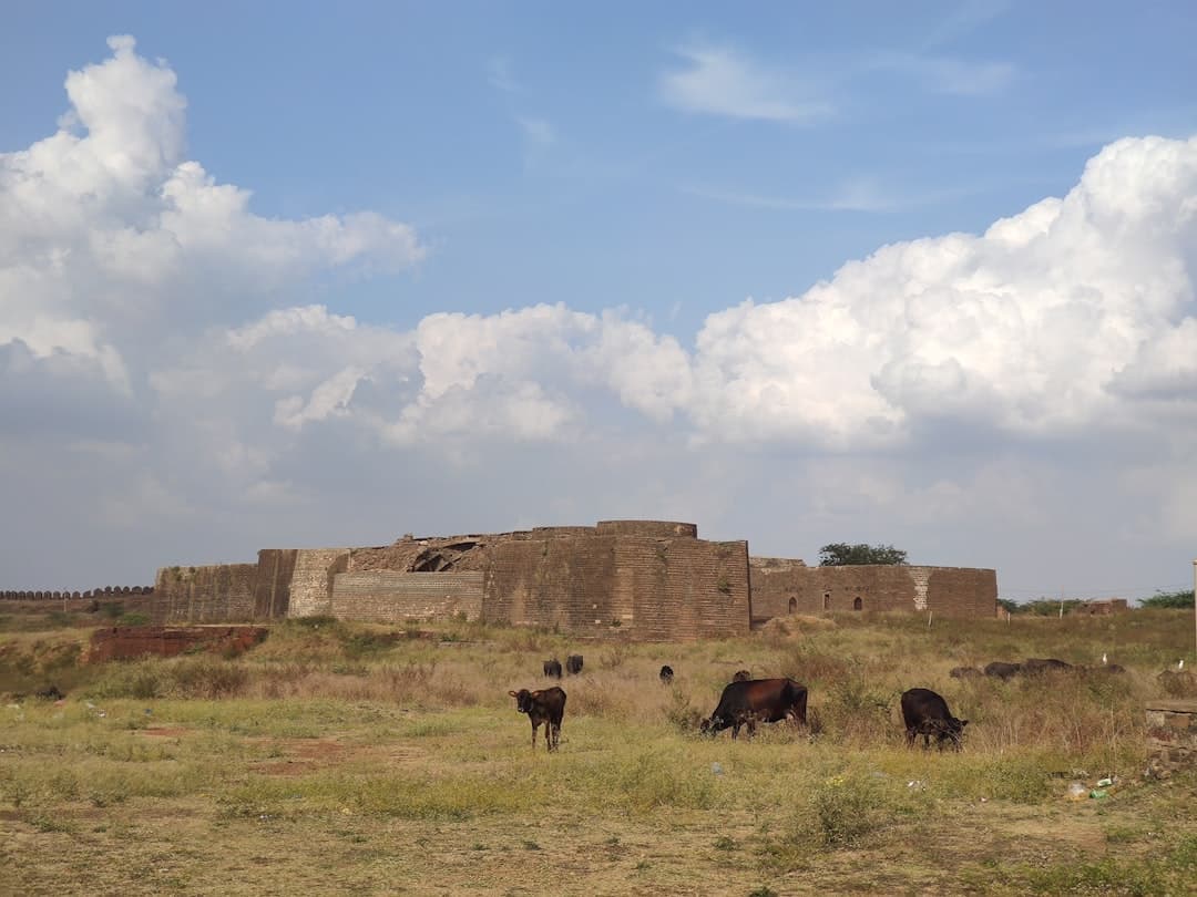 Bidar Travel Guide: Forts, Monuments & Heritage photo 2