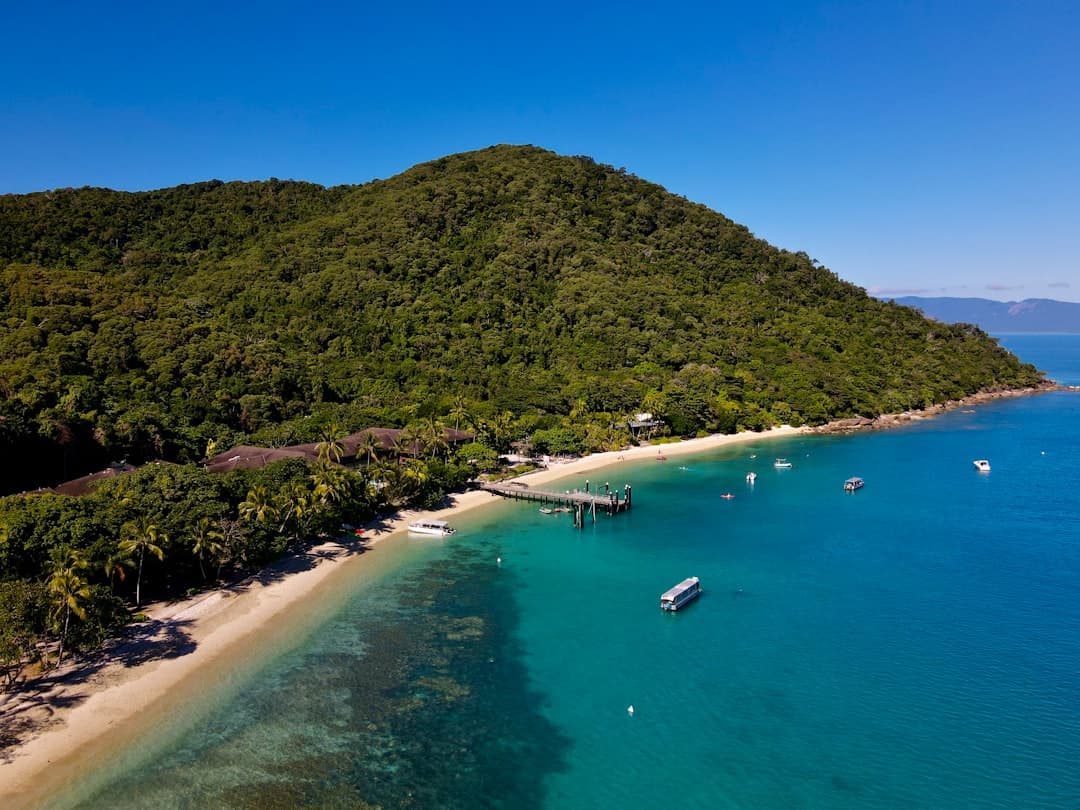 The Ultimate Cairns Travel Guide: Honest Tips for FNQ photo 3