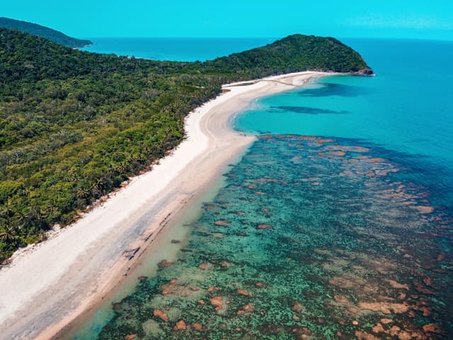 Cairns Travel Guide: Reef Tours, Nature & City Experiences