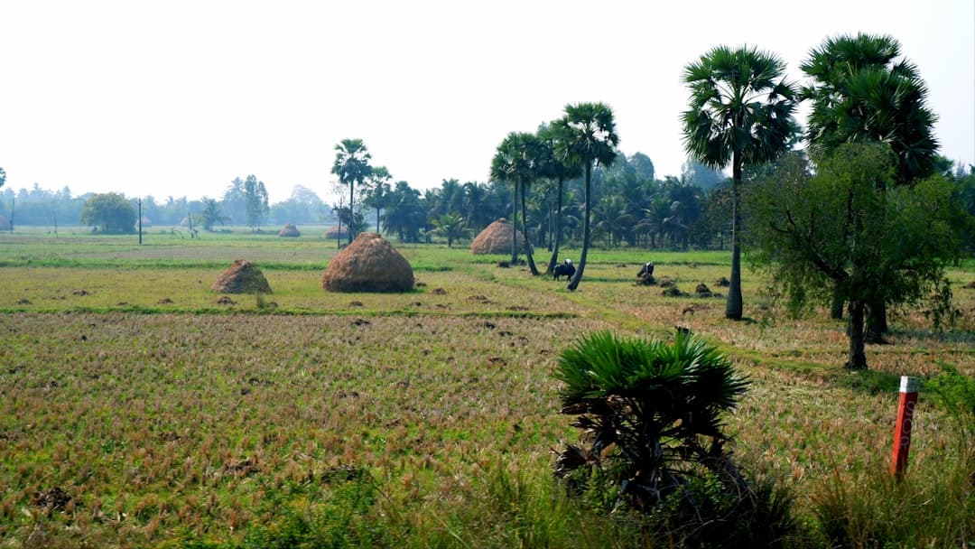 Kolar Travel Guide: History, Gold Fields & Temples photo 3