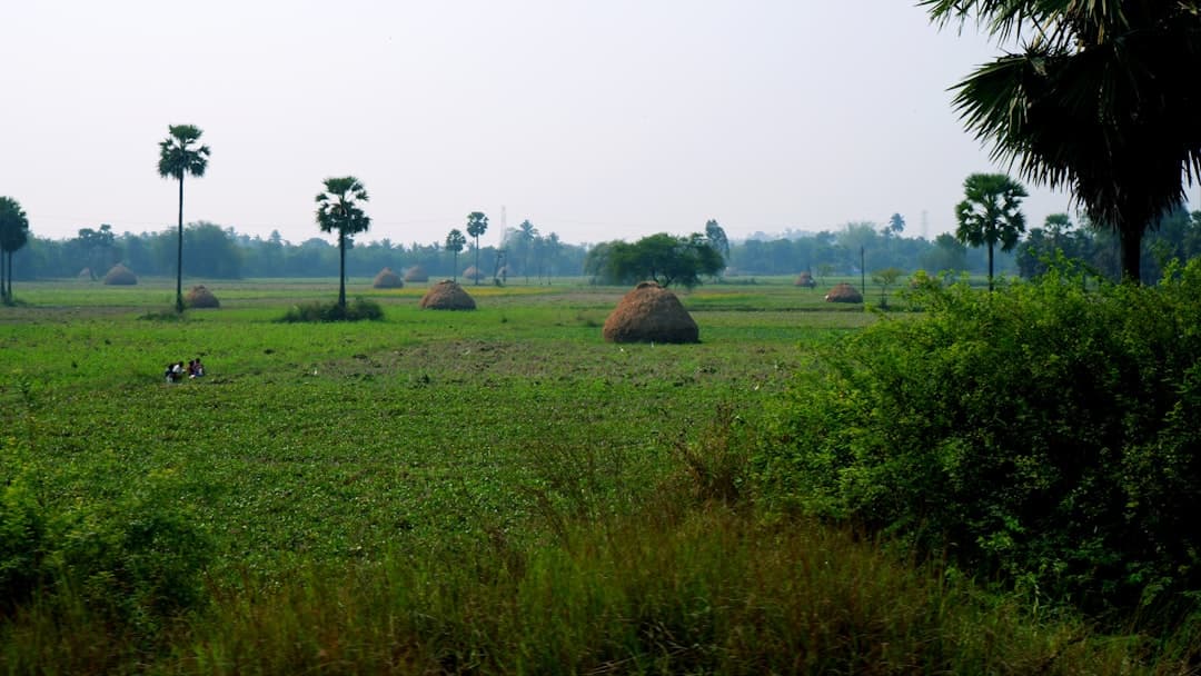 Kolar Travel Guide: History, Gold Fields & Temples photo 4