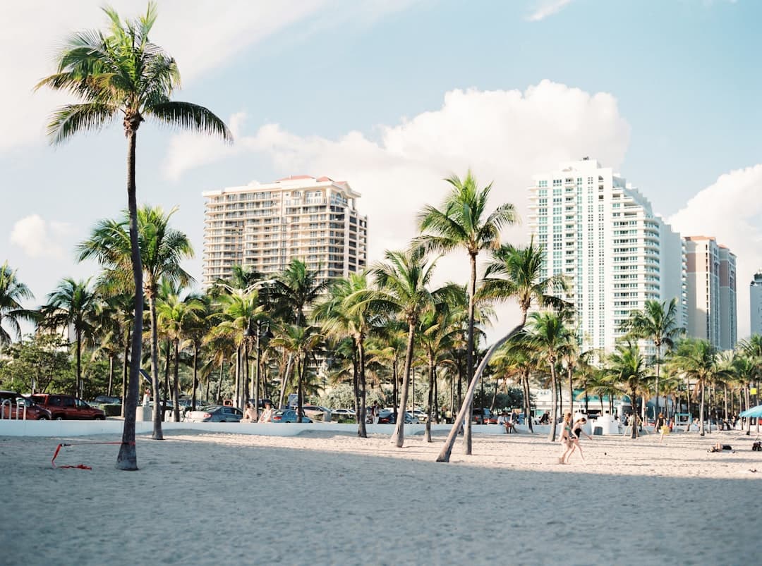 Best Time to Visit Miami for Beaches, Nightlife & Events photo 3