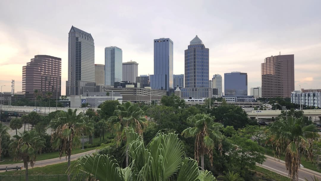 Tampa Travel Guide for First-Time Visitors photo 2