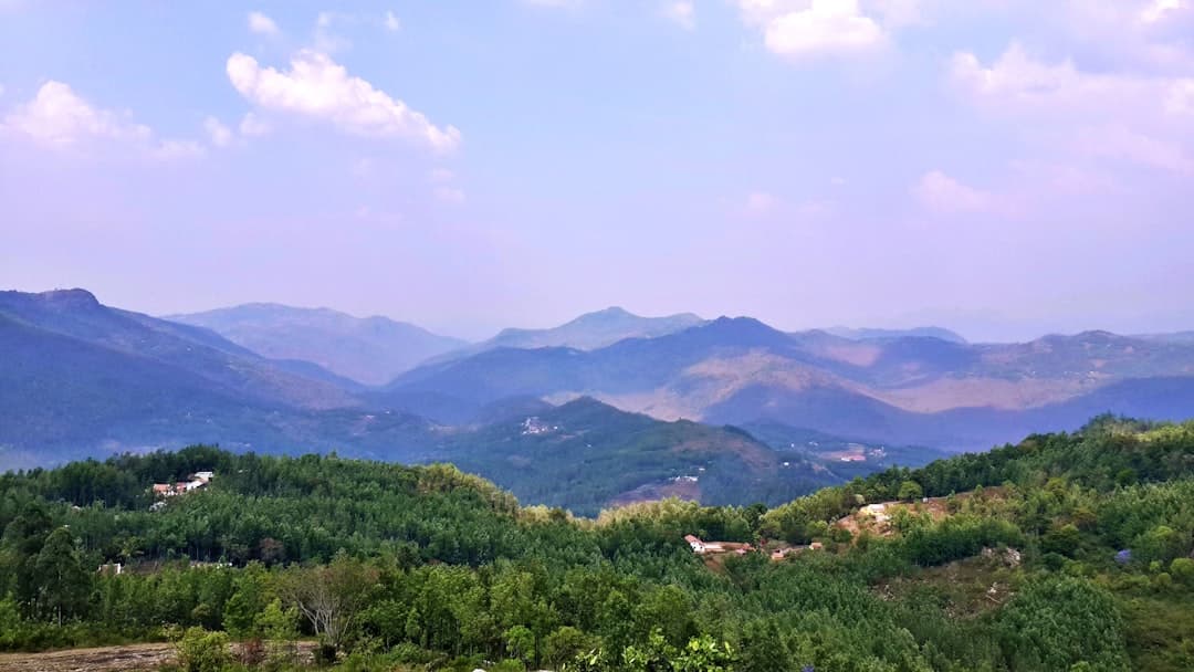 Planning Your Yercaud Travel: A Local's Guide