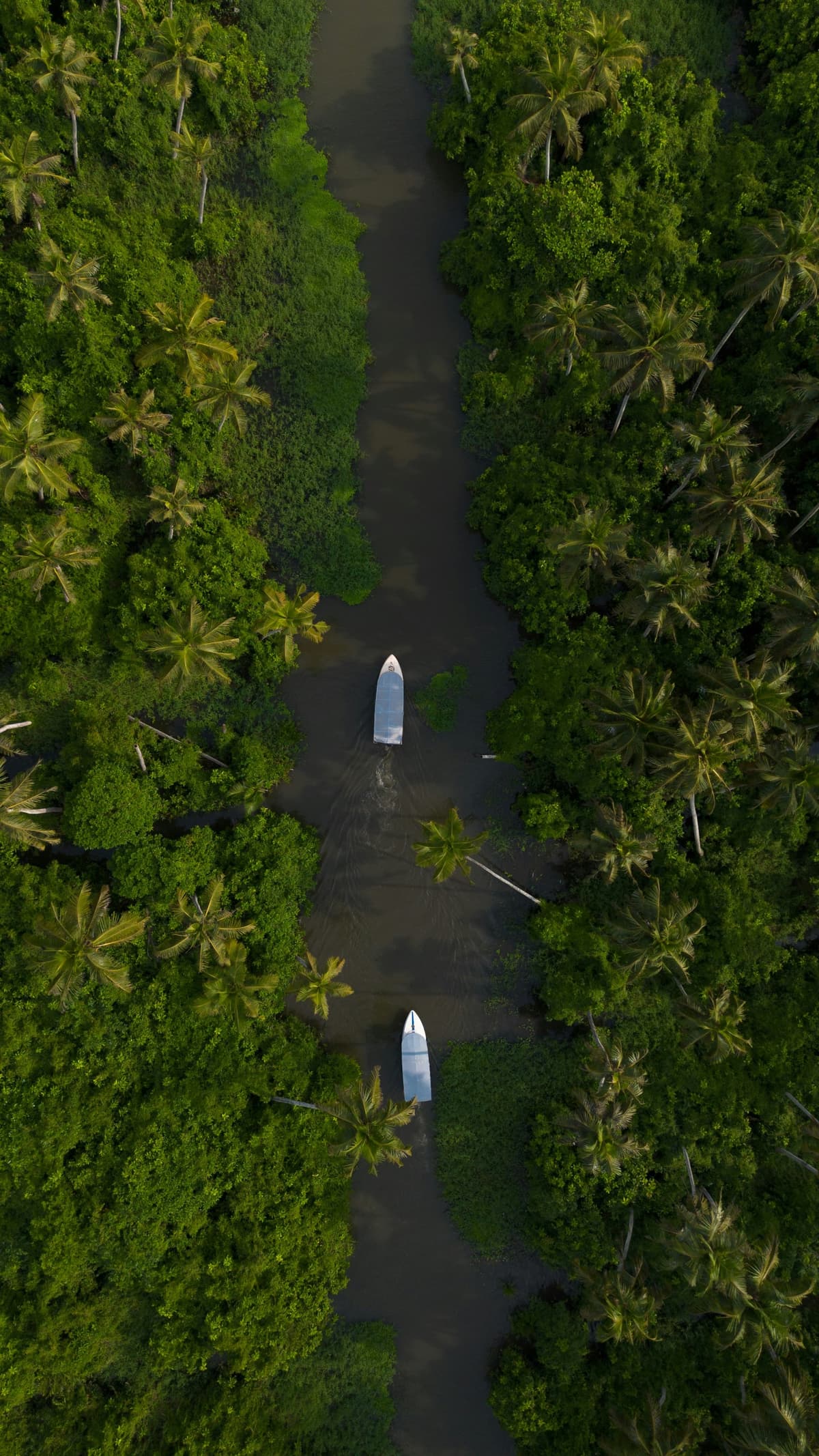 Alleppey: The Venice of the East photo 3