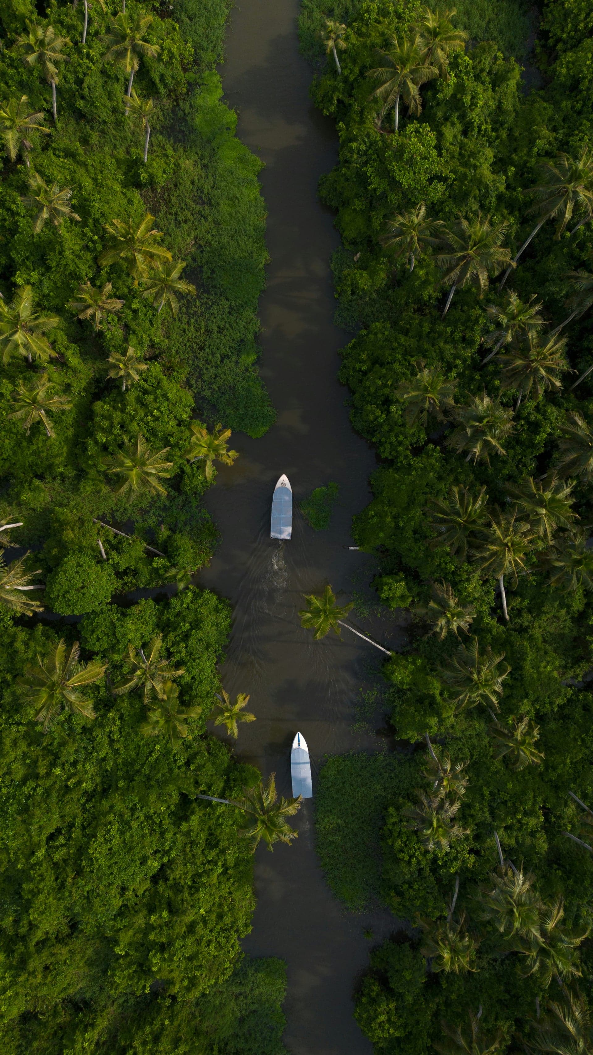 Alleppey: The Venice of the East photo 3