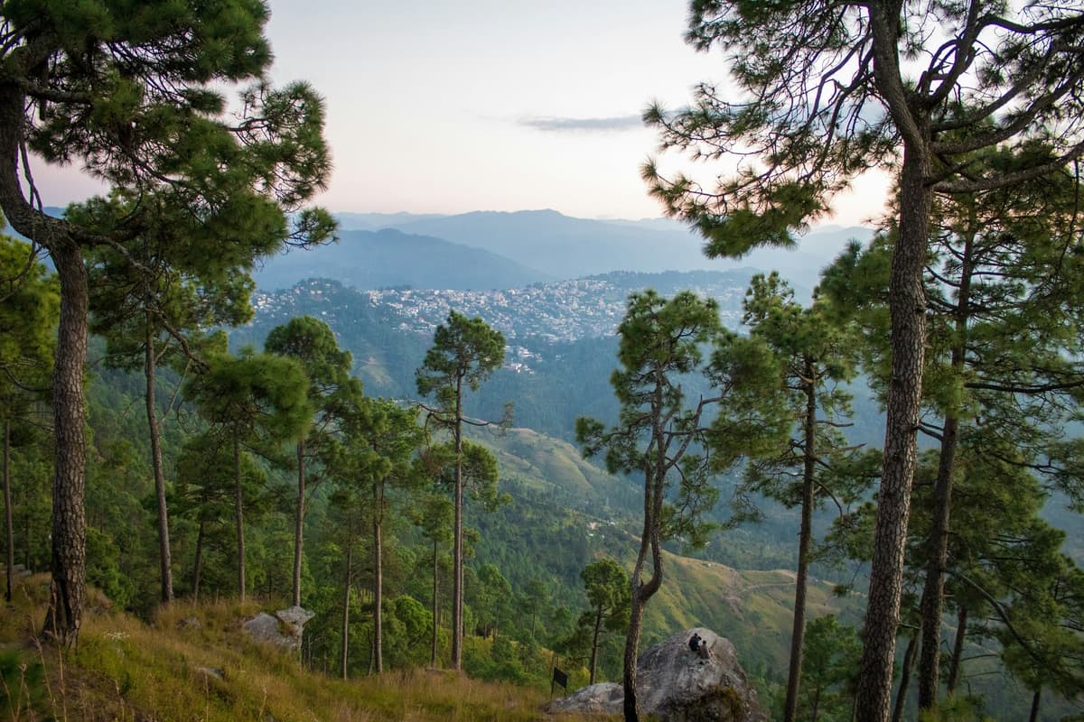 Almora photo 2