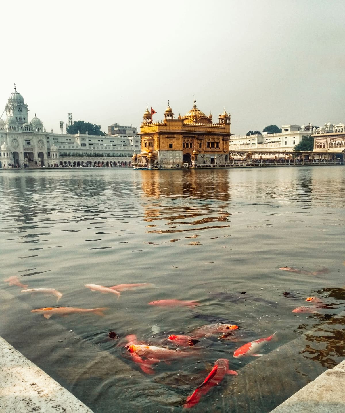 Amritsar photo 3