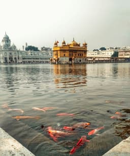 Amritsar 2