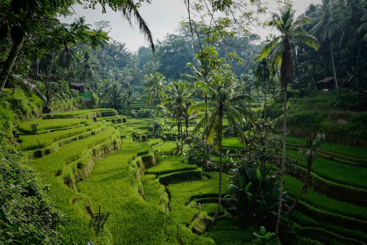 Bali photo 2