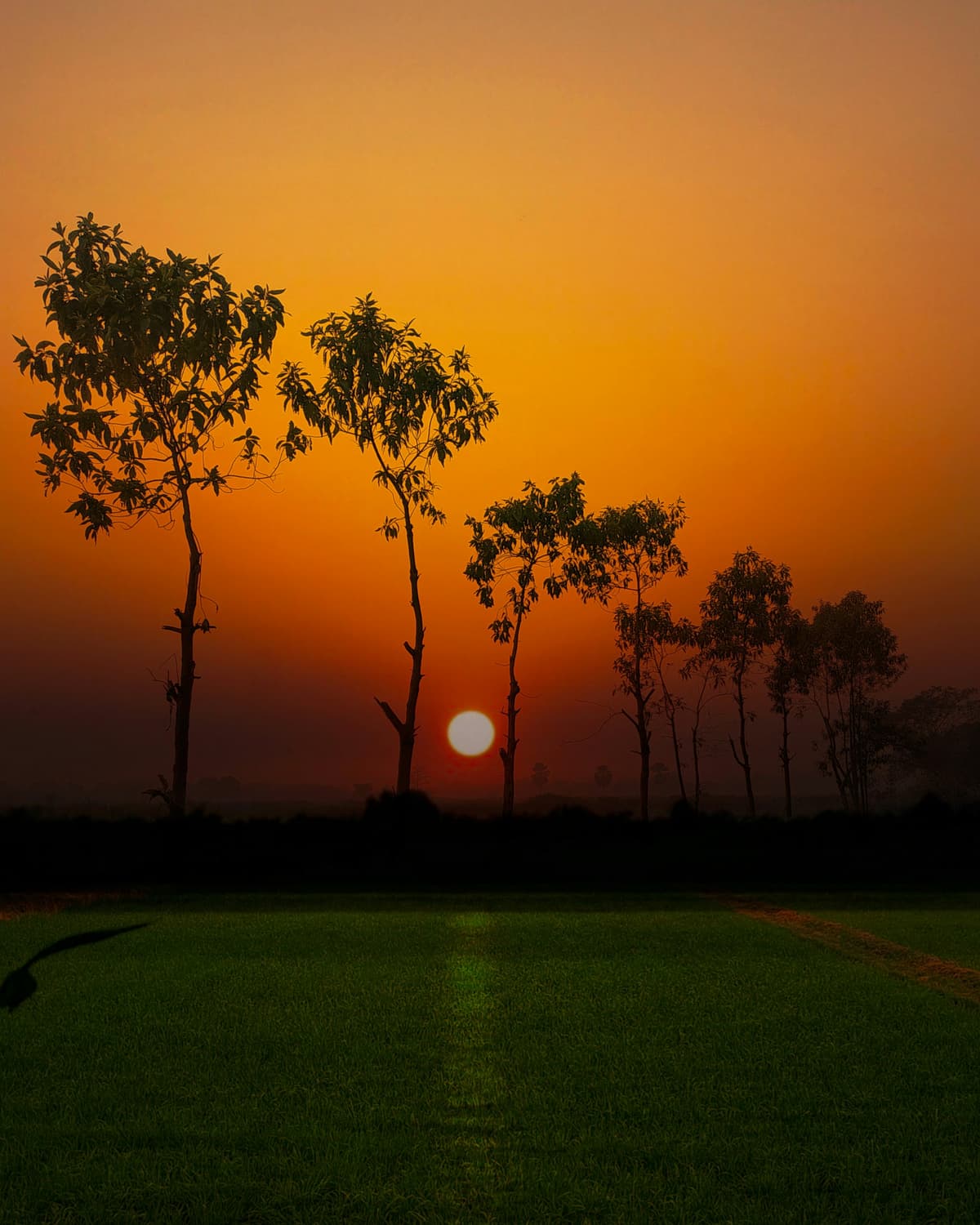 Bihar Tourism photo 4
