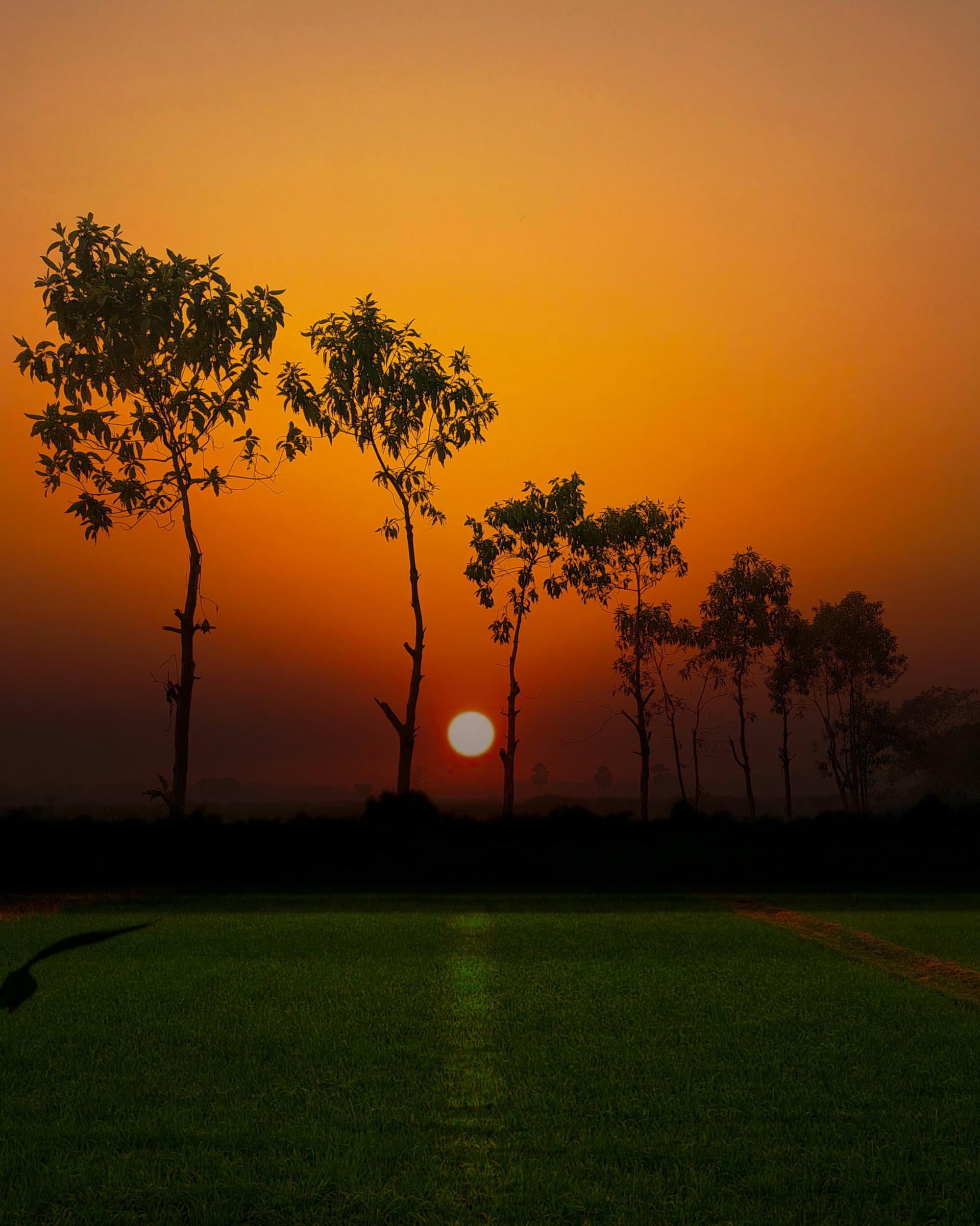 Bihar Tourism photo 4