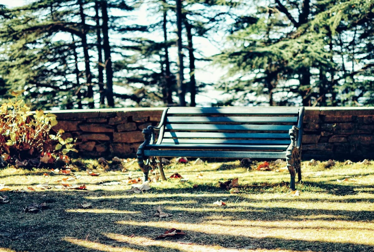 Chail photo 4