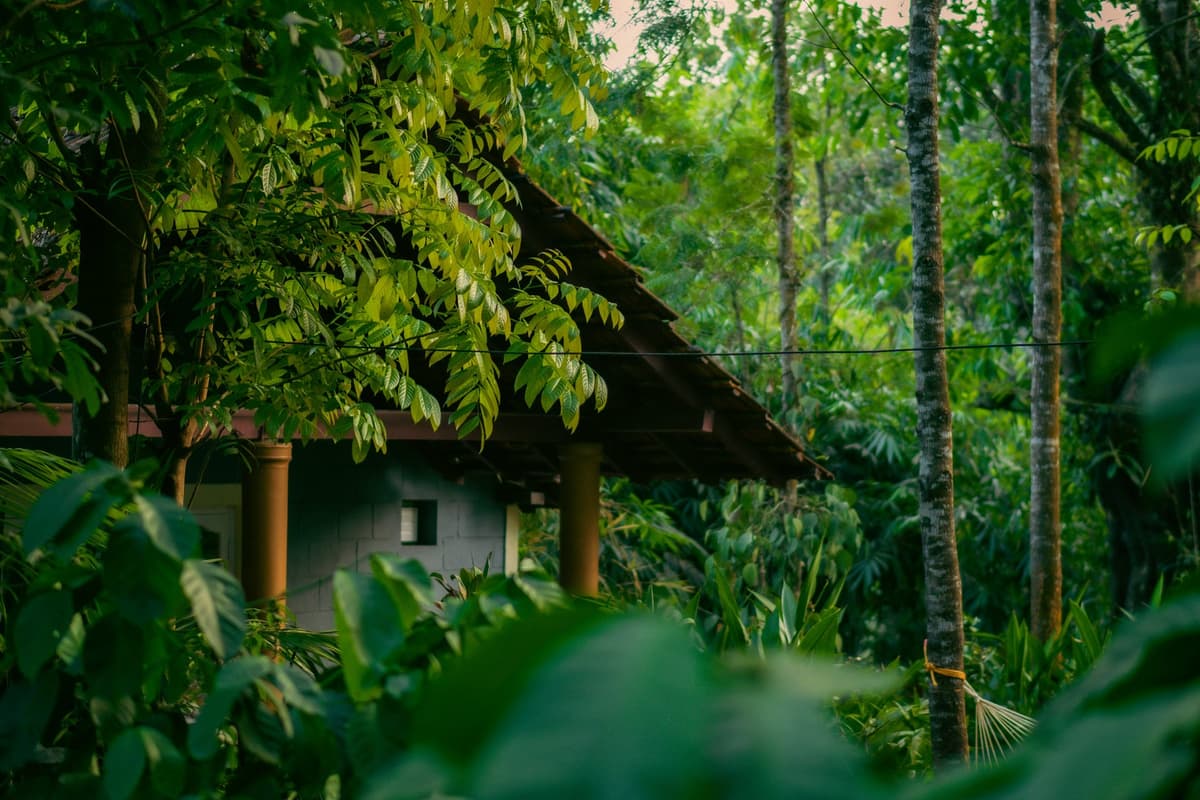 Coorg, The Scotland of India photo 3