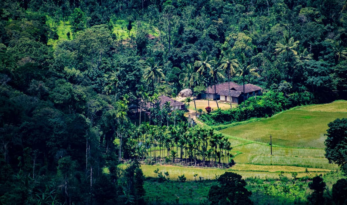 Coorg, The Scotland of India photo 4