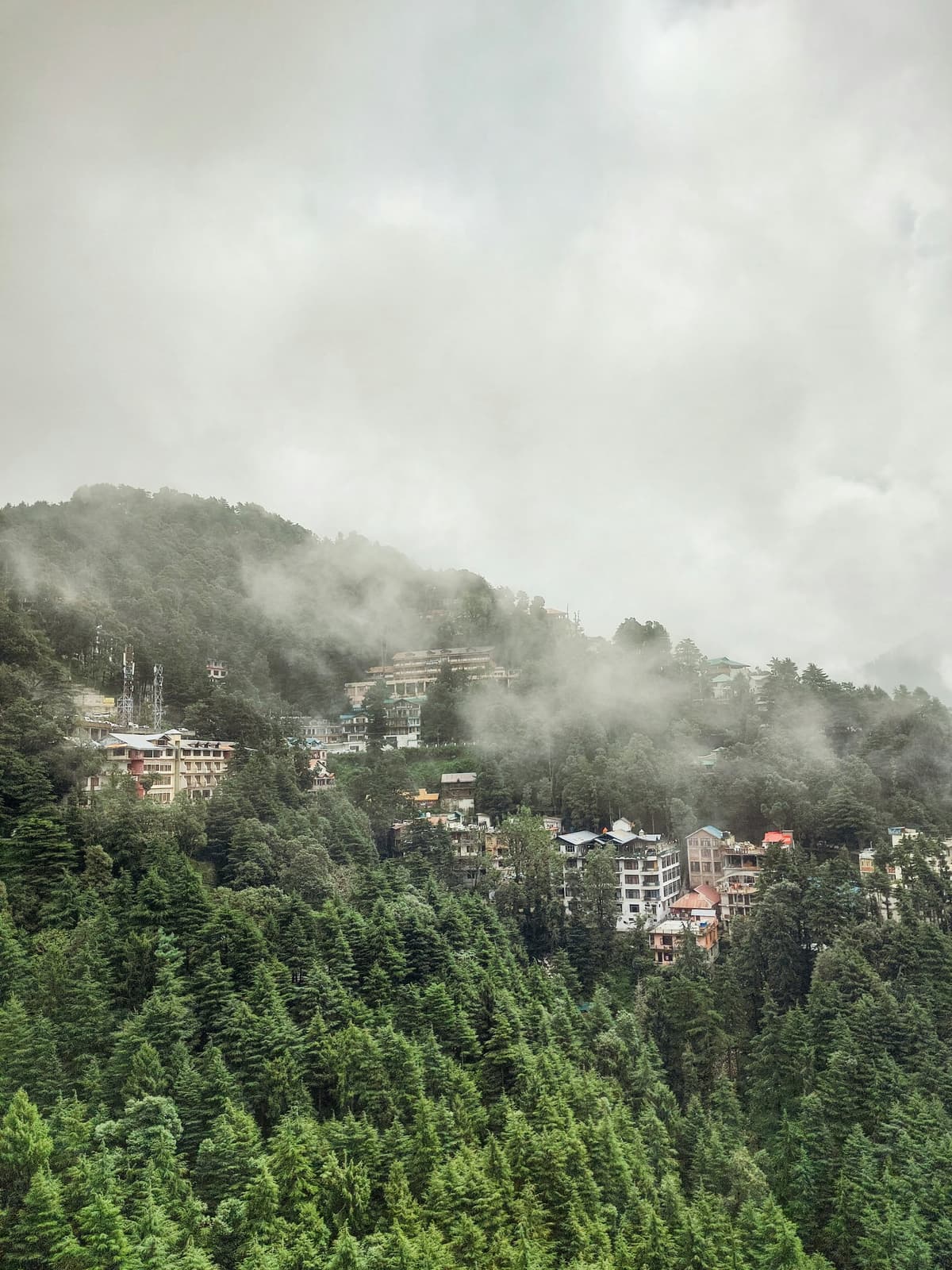 Dalhousie photo 3