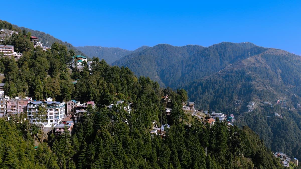 Dalhousie photo 4