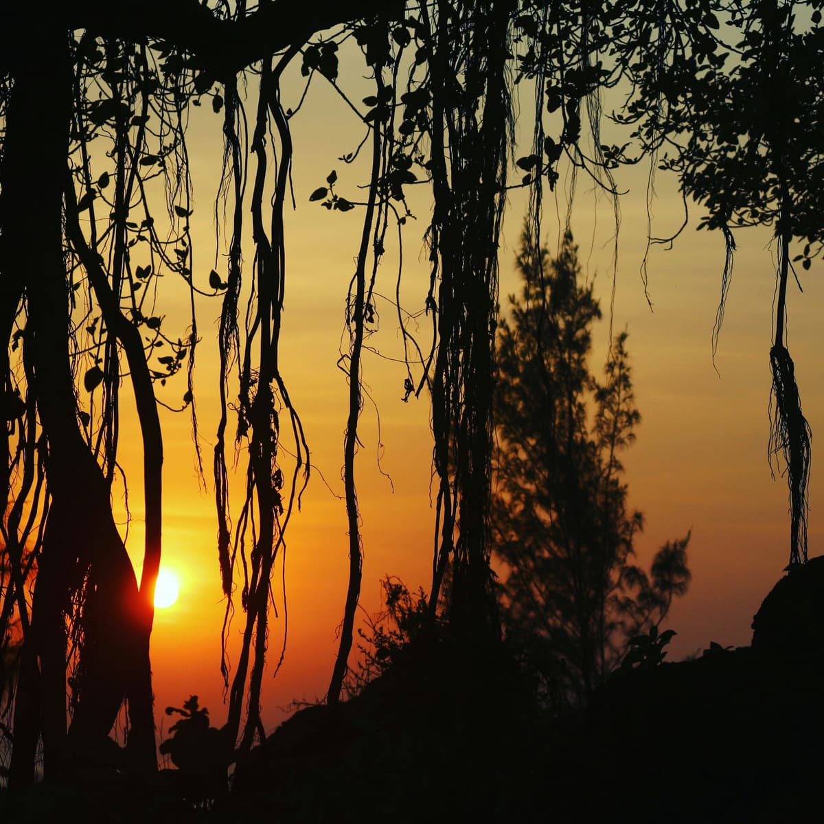 Dapoli photo 3