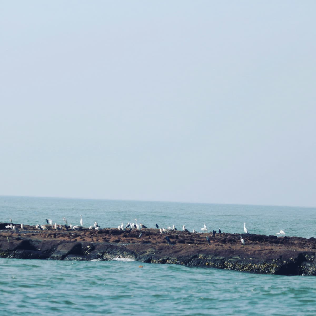 Dapoli photo 4