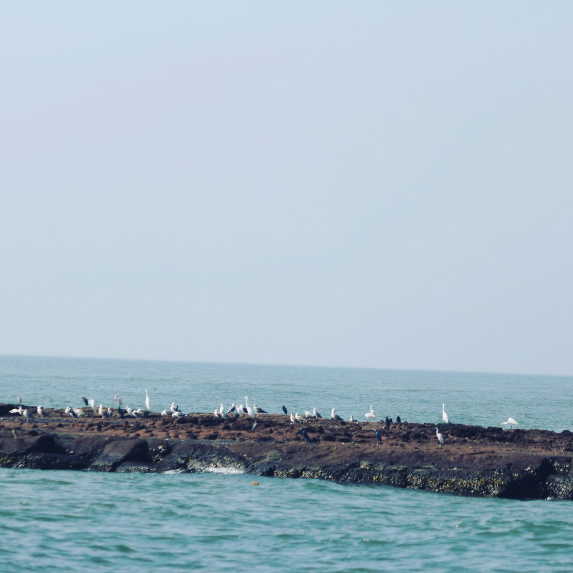 Dapoli photo 4
