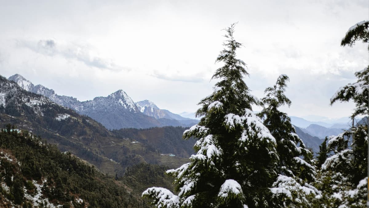 Dhanaulti photo 3