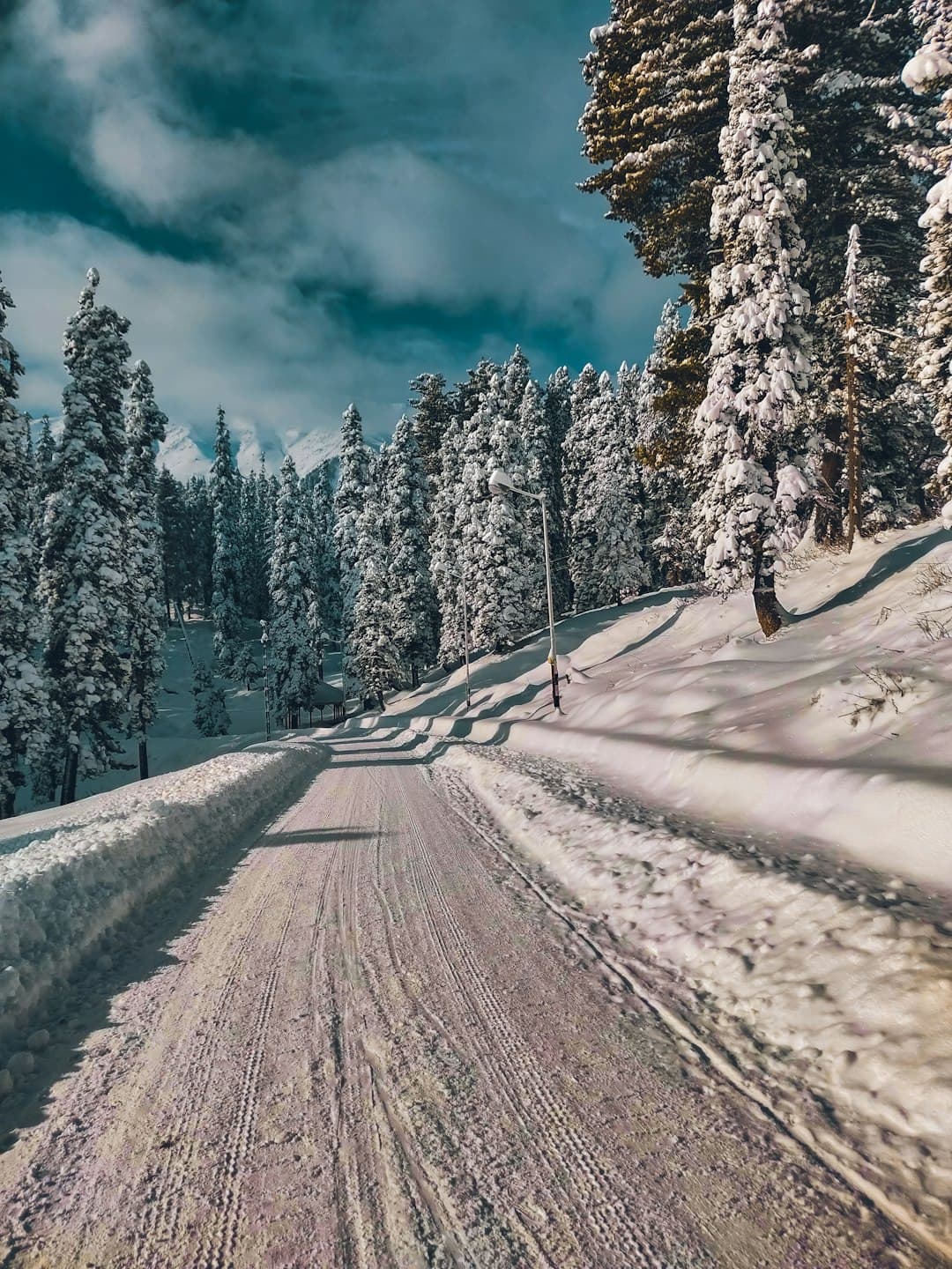 Gulmarg, The Meadow of Flowers photo 4