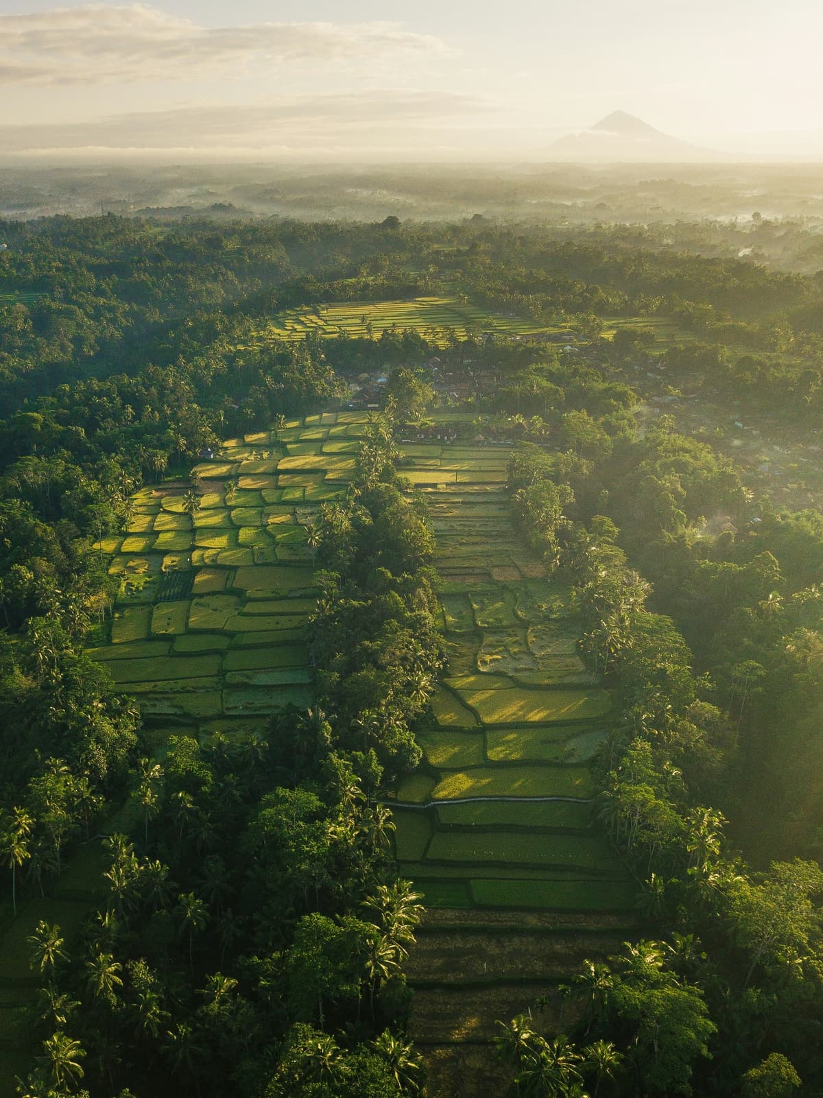 Indonesia photo 2