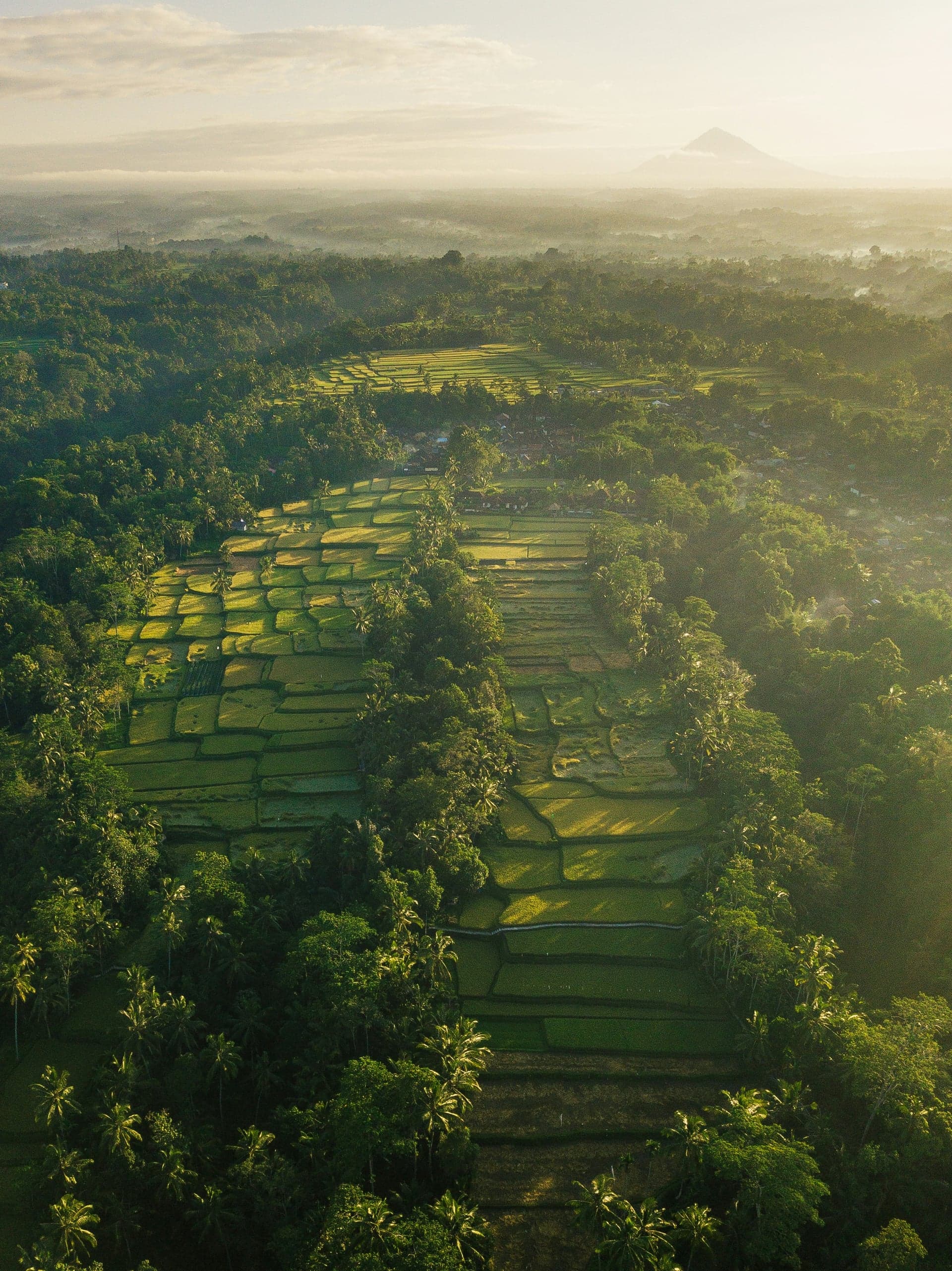 Indonesia photo 2
