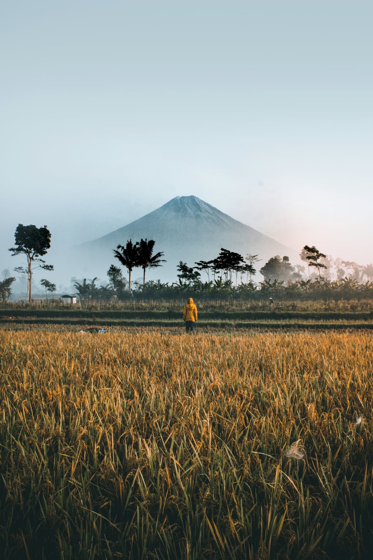 Indonesia photo 4