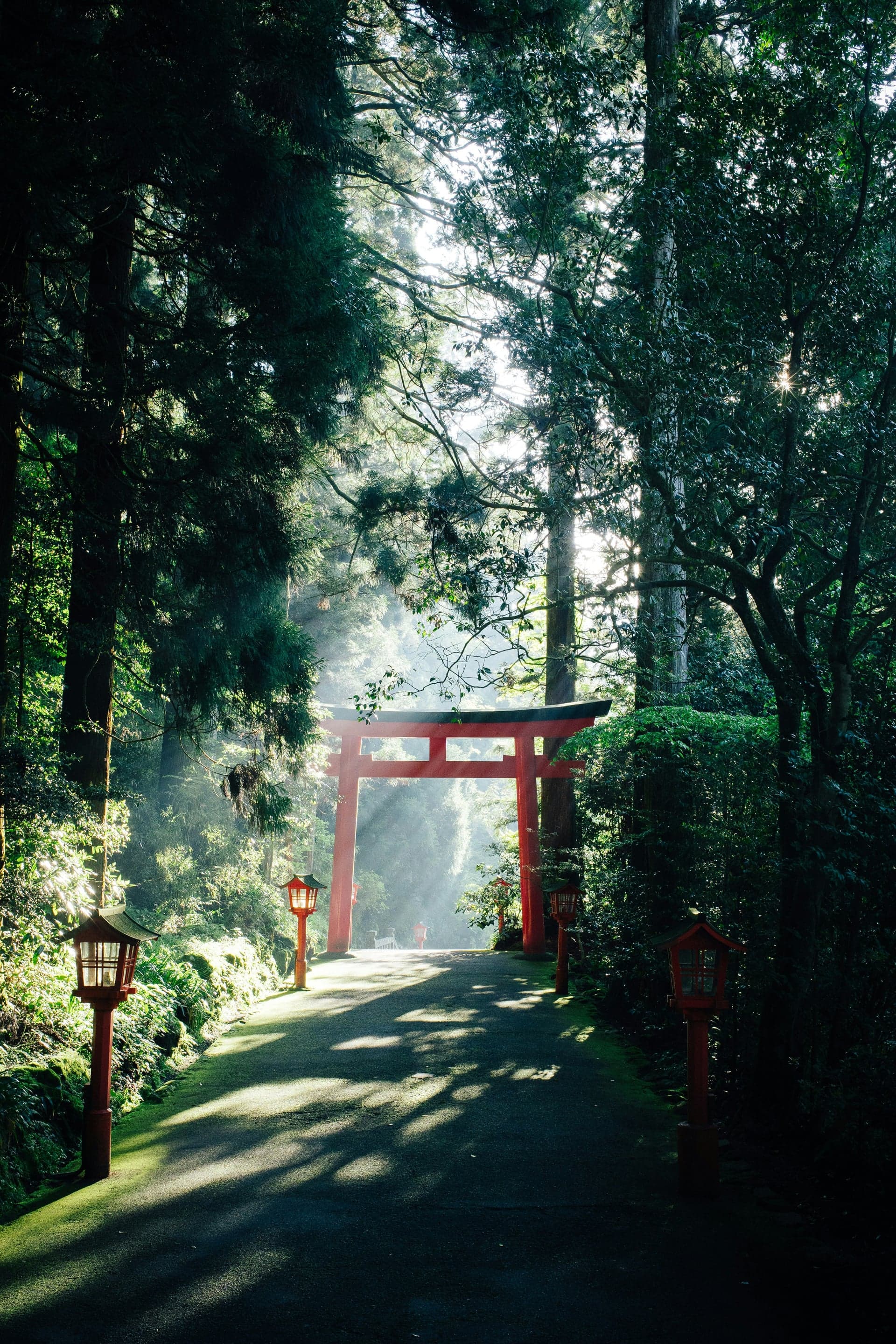 Japan photo 3