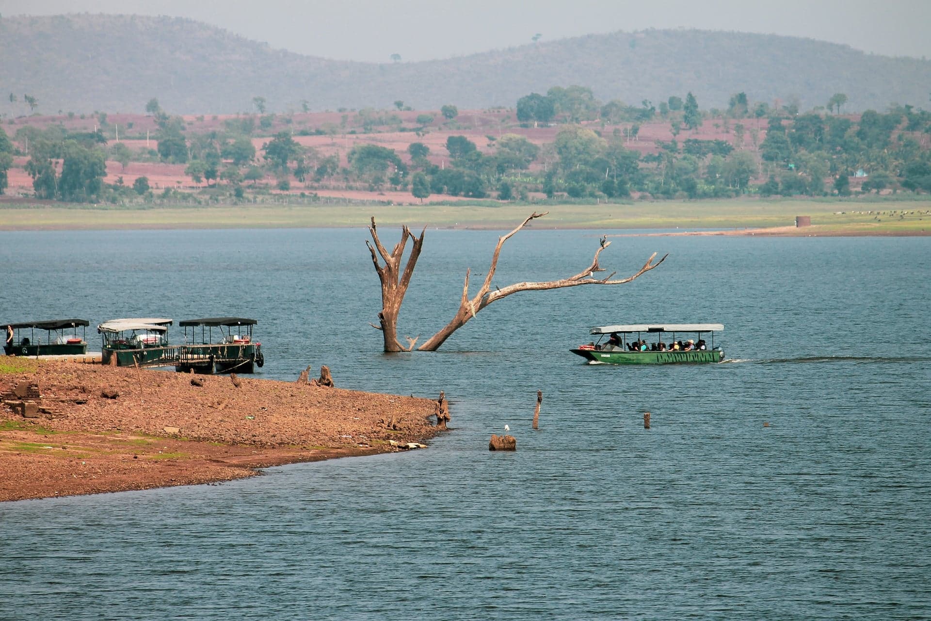 Kabini photo 3
